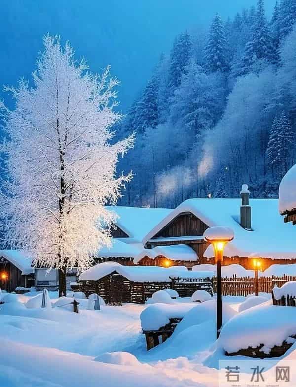 沁园春·雪落枝头 三首