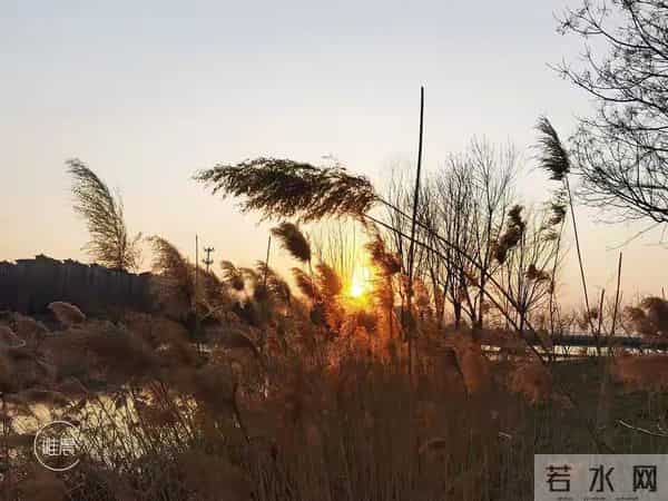 属猪人注意！11月21日能量反转，年底“翻身仗”只需三步走别问！