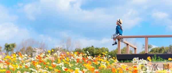 （完）保镖第一条：别爱上雇主。可没人告诉我，前任会诈尸回来