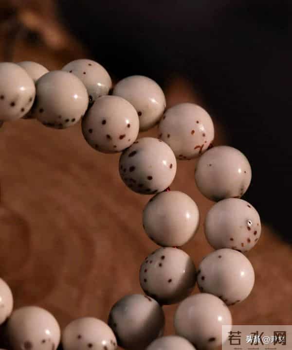 树籽手串王者排行榜