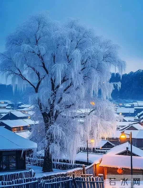 沁园春·雪落枝头 三首