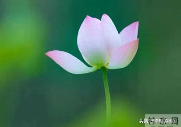 《道德经》-塞其悦，闭其门，终身不勤。