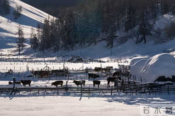 “大雪多不多，就看十月初六”，今日十月初六，今冬雪多冷到哭？