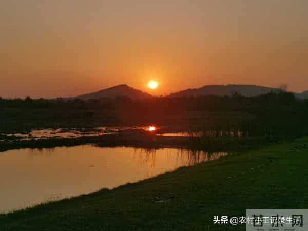 乡土故事：继子情缘（二十一）