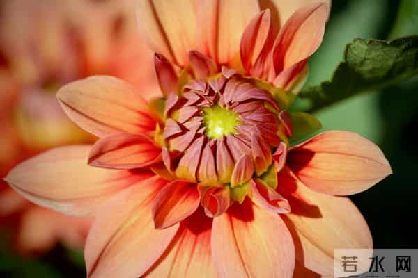 被误读千年的老话！原来我们一直理解错了，尤其第 5 句坑了很多人