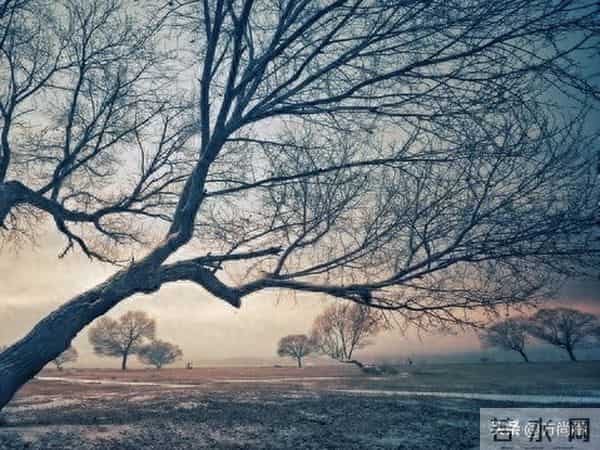 七律-冬来了（三）