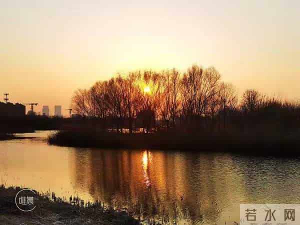 属猪人注意！11月21日能量反转，年底“翻身仗”只需三步走别问！