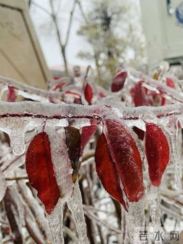 重要提醒！明日十月初七，“1不吃、2不问、3不要”要牢记！