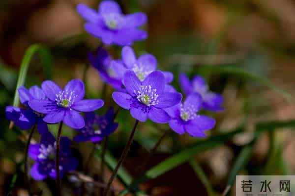 被误读千年的老话！原来我们一直理解错了，尤其第 5 句坑了很多人
