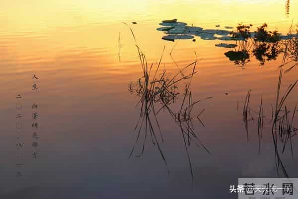 七言诗 淡看人间