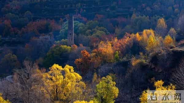 风水先生看风水