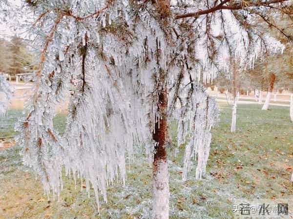 重要提醒！明日十月初七，“1不吃、2不问、3不要”要牢记！