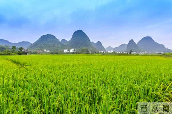 老家有个堂哥，年轻时候特好色。因为他家穷，快三十岁了还没结婚