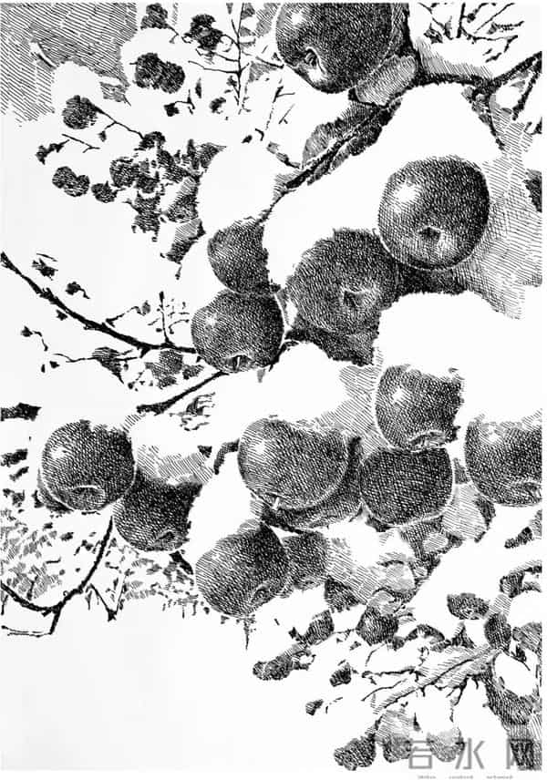 幸福原创画吧2025年第四十四期画友作品分享