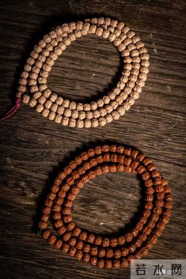 佛手小金刚三天上色，一辈子追色差