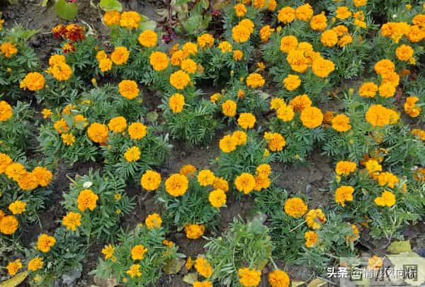 《尚书》10句千年古训，藏着成年人最该懂的生存智慧