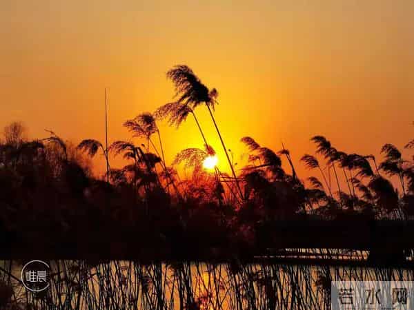 属猪人注意！11月21日能量反转，年底“翻身仗”只需三步走别问！