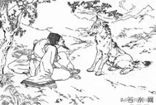 猎户救下难产母狼，无意之举换来无尽福报