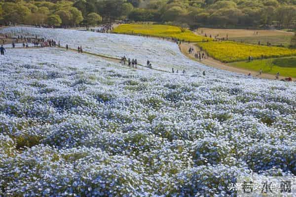 弘一法师的一句话：“五十岁之后，一个朋友也没有，连亲情也疏远