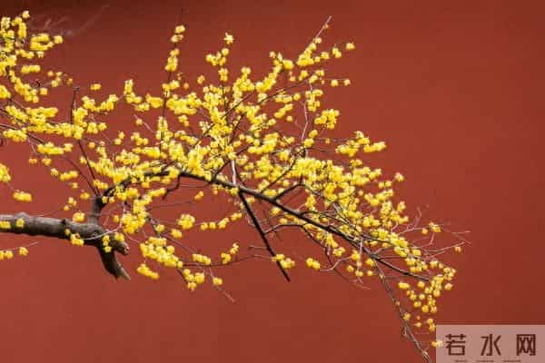 神仙上联已出，静待下联登场！这将是场怎样的巅峰对决？