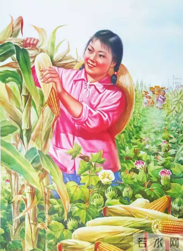 中国美术作品【519】