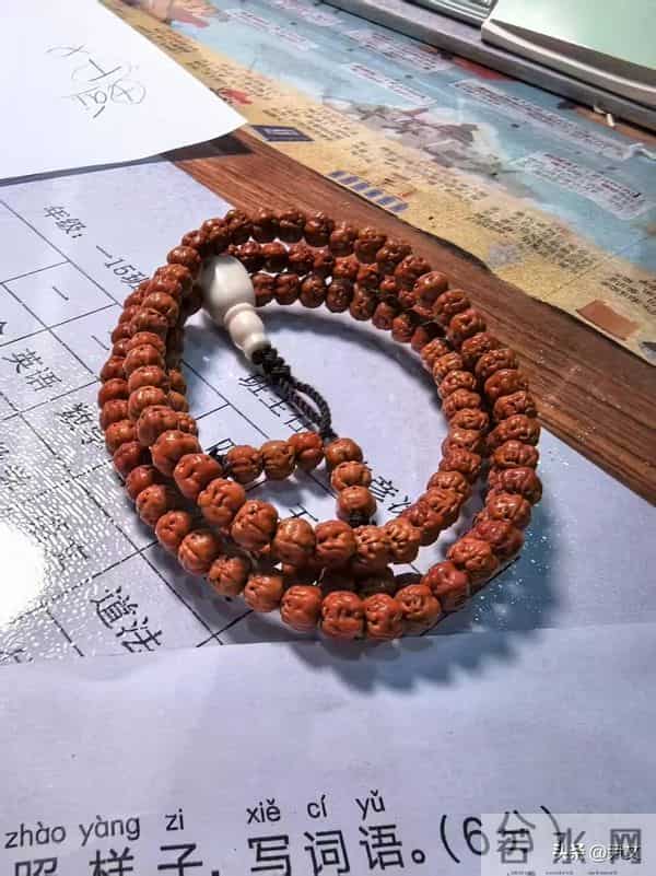 佛手小金刚三天上色，一辈子追色差