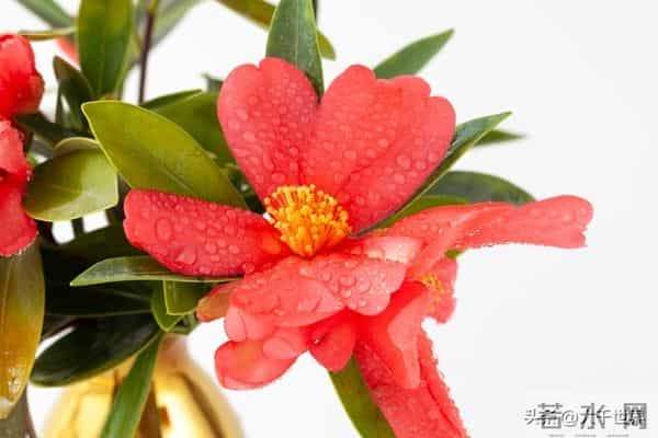 一个人身上有这2个习惯，说明他很聪明、不简单