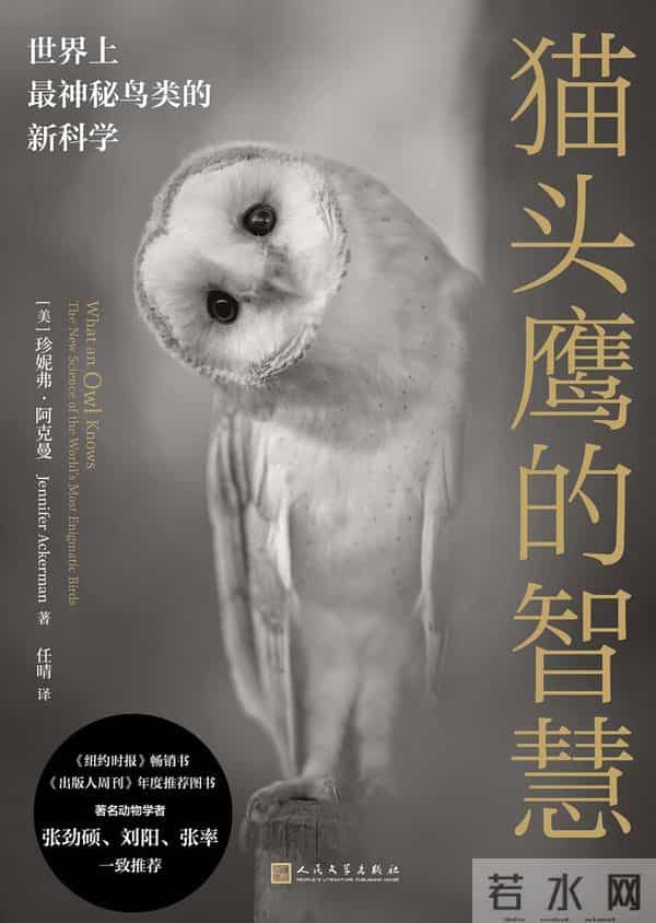 2025年11月文汇读书书单