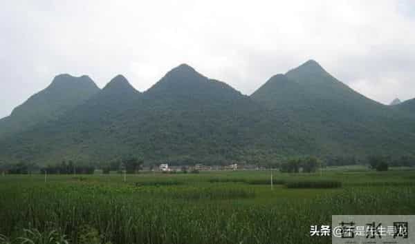 贪狼星五吉形解析