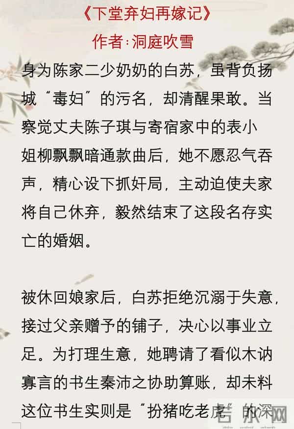 《下堂弃妇再嫁记》作者-洞庭吹雪
