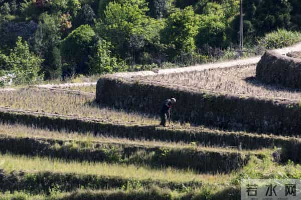 老家有个堂哥，年轻时候特好色。因为他家穷，快三十岁了还没结婚