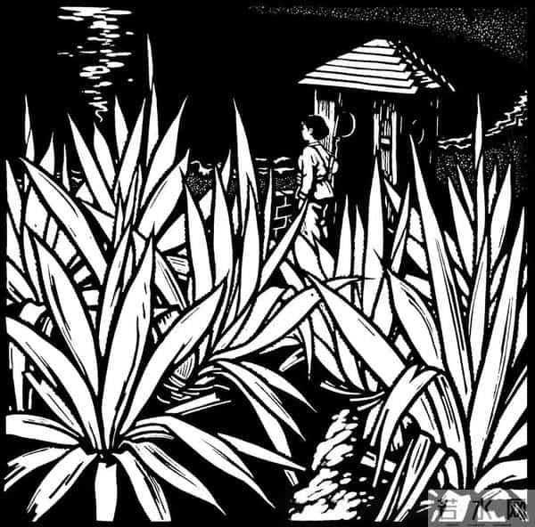 中国美术作品【519】