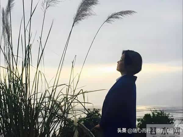 卜算子《不识流年景》词-张毅