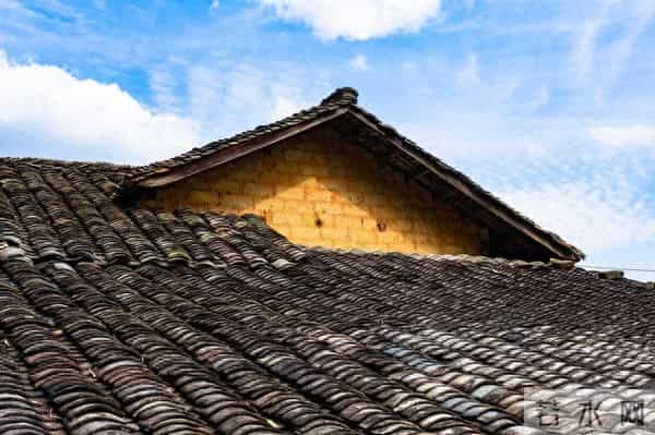 寡妇与猎户——（132）支援来了