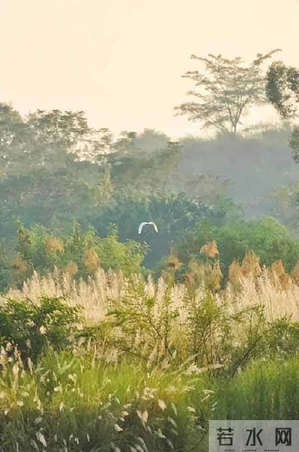 清初词人董以宁的十首诗词，留得当时临别泪，经年不忍浣衣裳。
