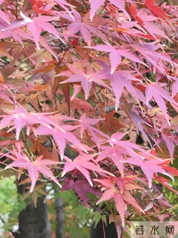 上联：喧街灯火催诗醉，上联：轻吟经律禅香绕，下联？原创对联