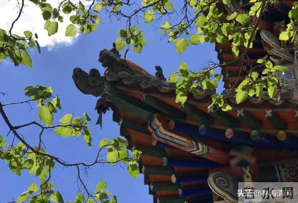 纠结时默念《金刚经》8字，90%的烦恼都能化解