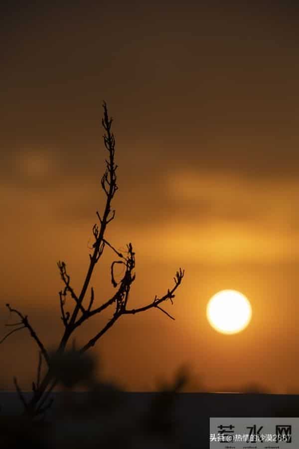 命运的转折（短篇小说）