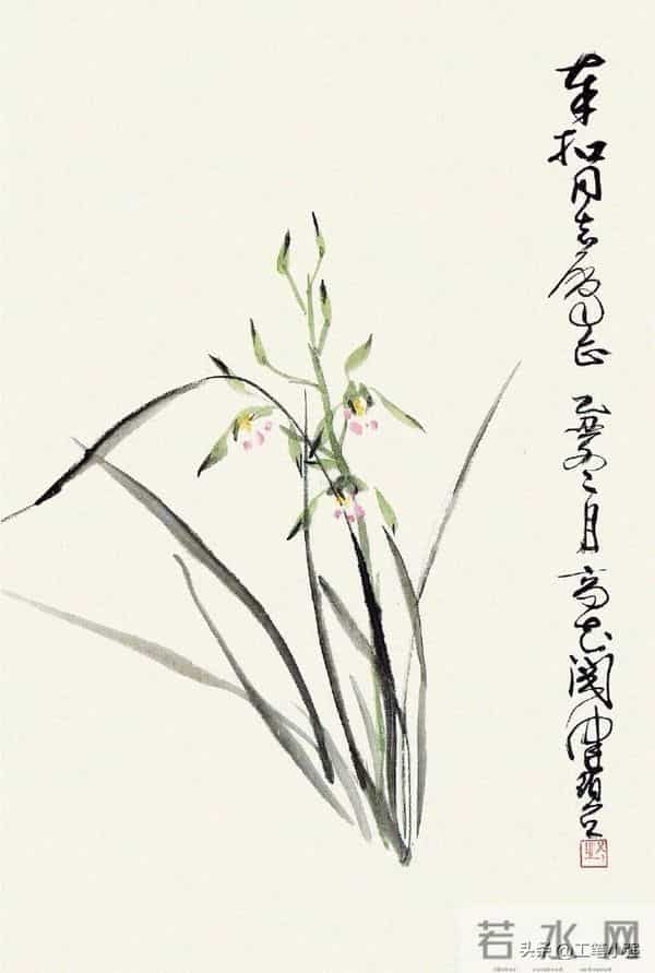 兰心写韵，笔墨铸魂 —— 陈佩秋 花卉四君子兰花欣赏