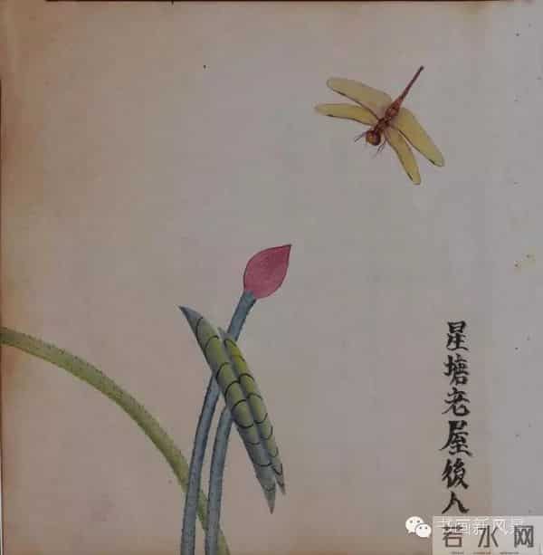 白石老人绝美草虫大荟萃，实在是太养眼啦！