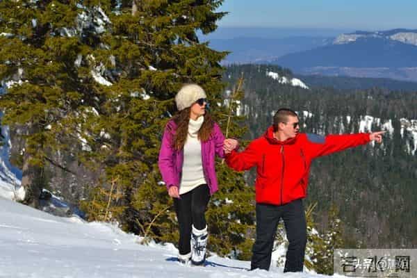 今日爆款文章：《月尾轻吟：于辞旧中寻新生的诗意》