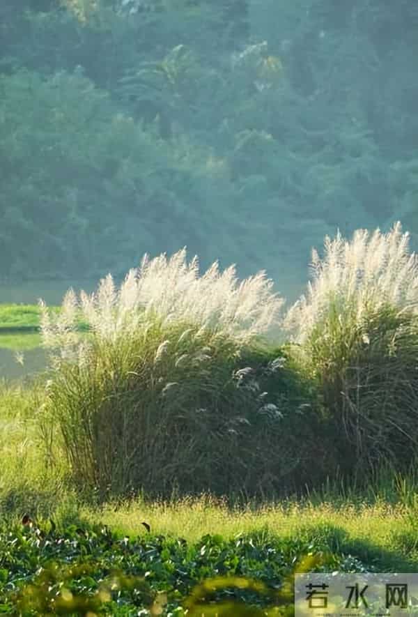 清初词人董以宁的十首诗词，留得当时临别泪，经年不忍浣衣裳。