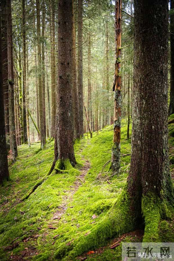 《出生年份决定了你的“天命五行”：藏着不曾察觉的天赋与短板》