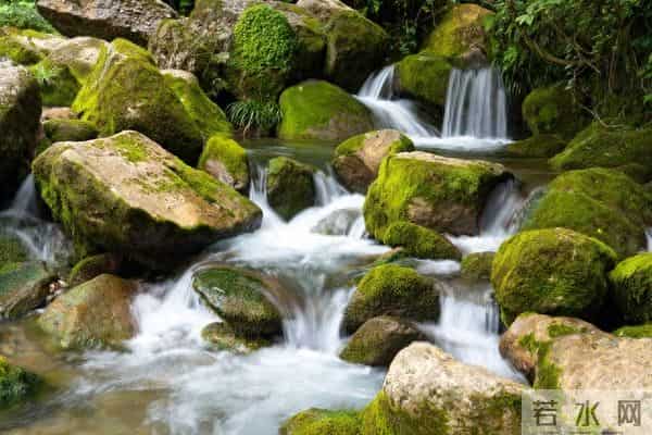 这个上联太难了！在线急求大神对下联，评论区等您来救场！