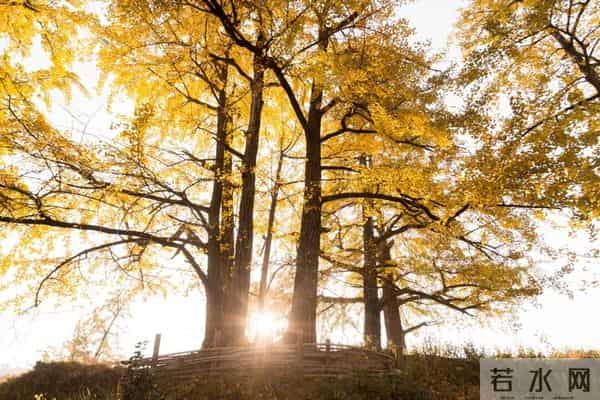 张颂文发朋友圈又提家乡韶关