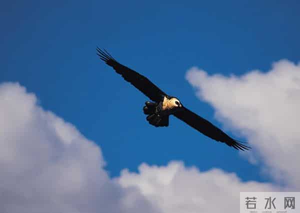 他被身边人称为“当今李白”，为何呢？这13首原创诗告诉你答案