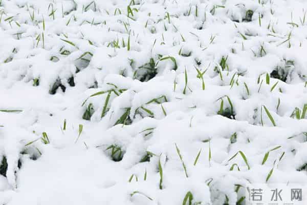 “最怕十月初八晴”，今日十月初八恰逢感恩节，晴天有啥怕的呢？