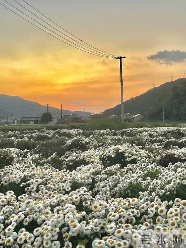 读懂中国每一个县——第94站：浙江·嘉兴·桐乡市