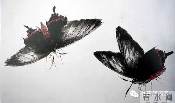 白石老人绝美草虫大荟萃，实在是太养眼啦！