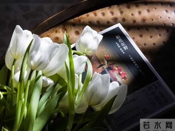 流年是本写满遗憾的书（散文）